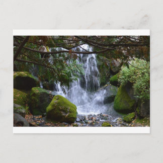 Waterfall Postcard