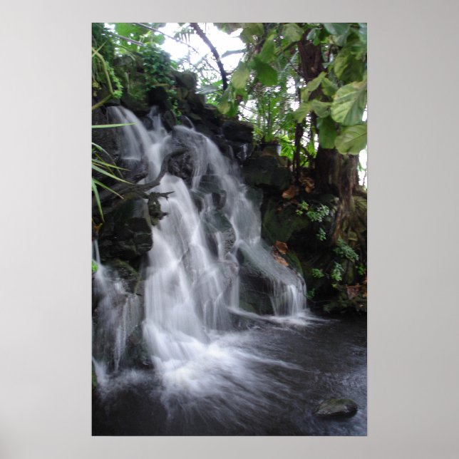 Waterfall Poster (Front)
