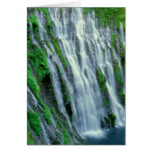 Waterfall scenic, California (Front)