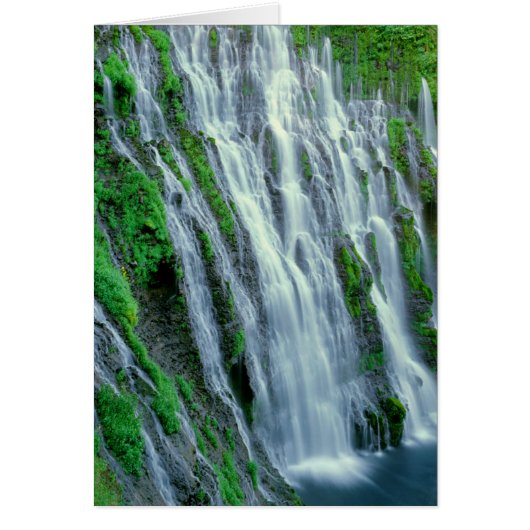 Waterfall scenic, California Cards (Front)