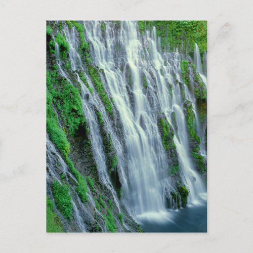 Waterfall scenic California Postcard