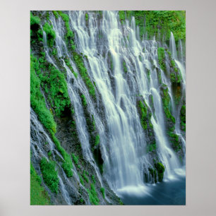 Waterfall scenic, California Poster