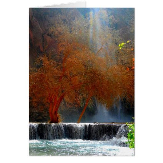 Waterfall Serenity Cards (Front)