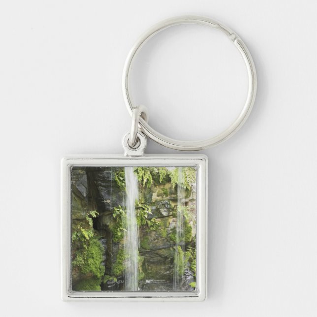 Waterfall, Temperate rainforest, New Zealand. Keychain (Front)
