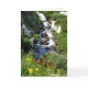 Waterfall with Wildflowers, NV Blank Greeting Card