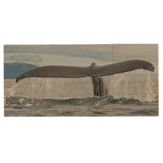 Waterfall Wood Flash Drive (Front)