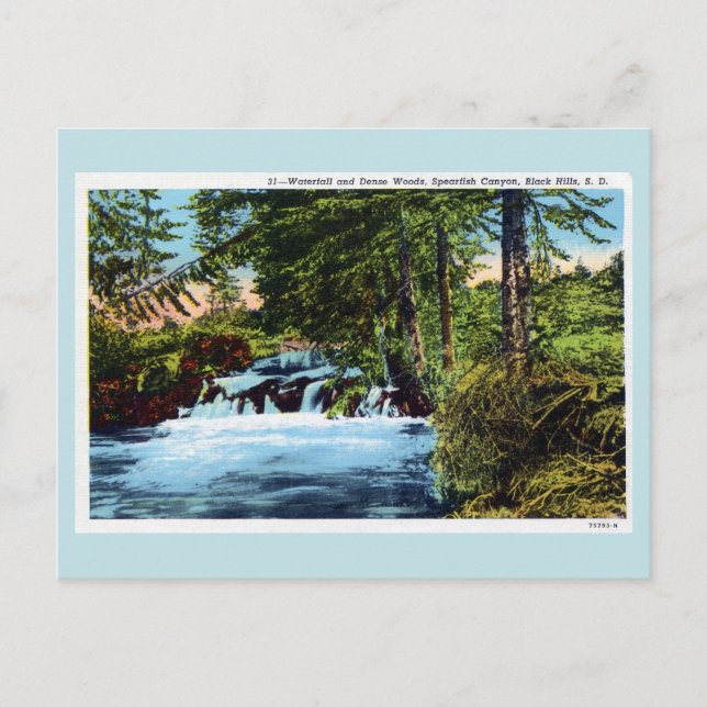 Waterfall, woods, Spearfish Canyon, Black Hills SD Postcard (Front)