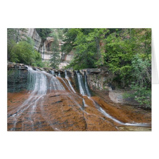 Waterfall, Zion National Park, Utah, USA (Front Horizontal)