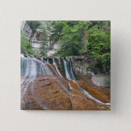 Waterfall Zion National Park Utah USA Pinback Button