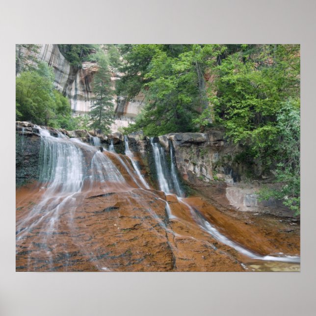 Waterfall, Zion National Park, Utah, USA Poster (Front)