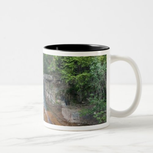 Waterfall Zion National Park Utah USA Two_Tone Coffee Mug