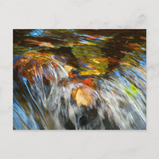Waterfalling Leaves Postcard