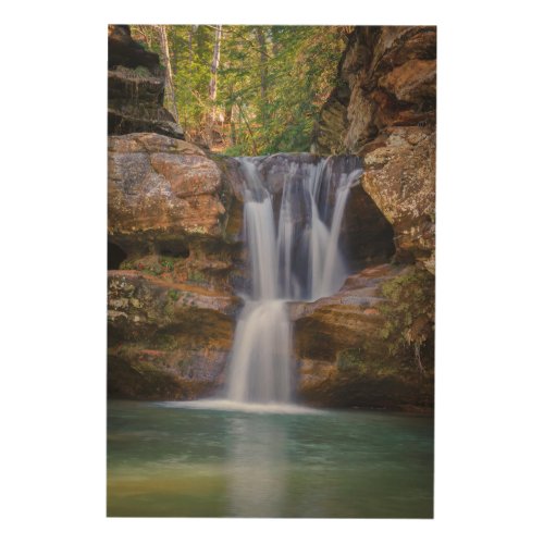 Waterfalls  Cedar Falls Ohio Wood Wall Art