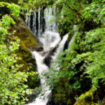 WATERFALLS  DART BOARD<br><div class="desc">A photographic design of a beautiful waterfall in Wales UK.</div>