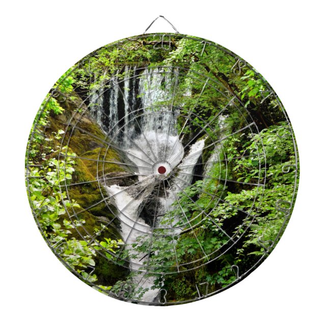WATERFALLS  DART BOARD (Front)