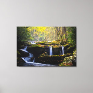 Waterfalls   Great Smoky Mountain National Park Canvas Print