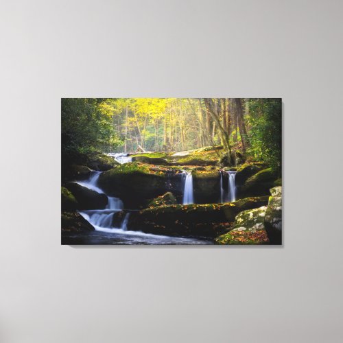 Waterfalls  Great Smoky Mountain National Park Canvas Print