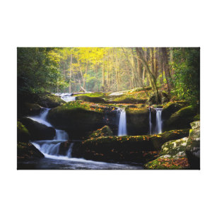 Waterfalls   Great Smoky Mountain National Park Canvas Print