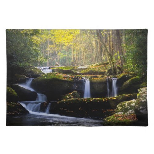 Waterfalls  Great Smoky Mountain National Park Cloth Placemat
