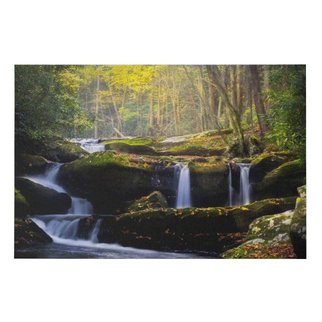 Waterfalls | Great Smoky Mountain National Park Faux Canvas Print (Front)