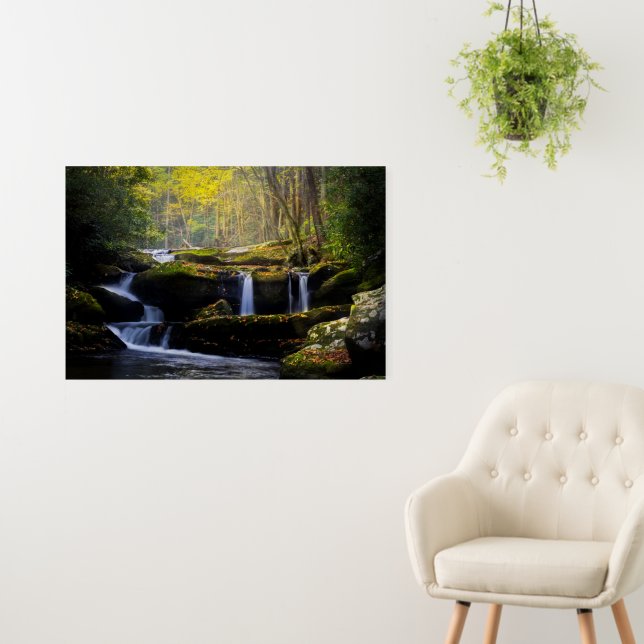 Waterfalls | Great Smoky Mountain National Park Foam Board (In Situ (Wall))