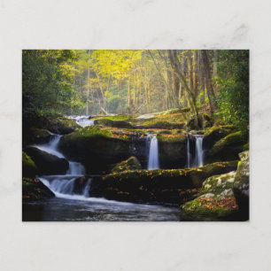 Waterfalls Great Smoky Mountain National Park Postcard