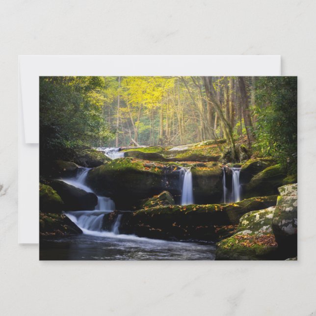 Waterfalls | Great Smoky Mountain National Park Thank You Card (Front)