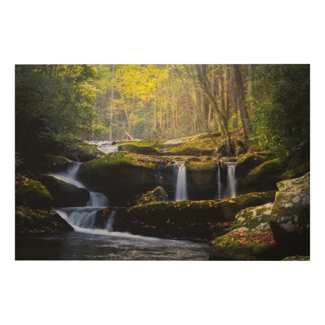 Waterfalls | Great Smoky Mountain National Park Wood Wall Art (Front)