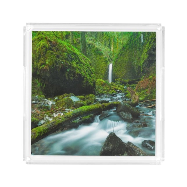 Waterfalls | Grotto Falls, Oregon Acrylic Tray (Front)