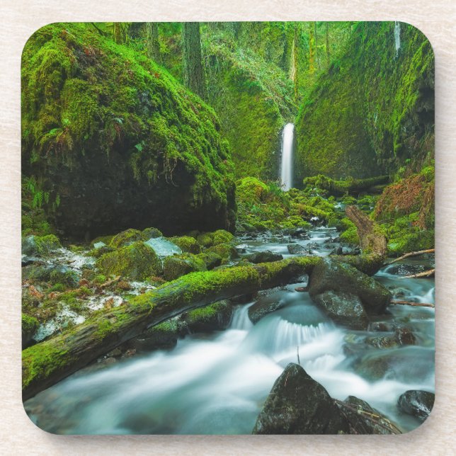 Waterfalls | Grotto Falls, Oregon Beverage Coaster (Front)