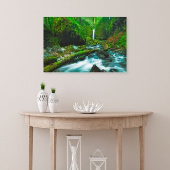 Waterfalls | Grotto Falls  Oregon Canvas Print by intothewild at Zazzle