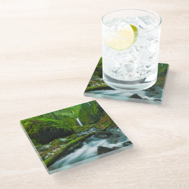 Waterfalls | Grotto Falls, Oregon Glass Coaster (Angled)