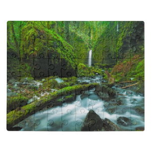 Waterfalls   Grotto Falls, Oregon Jigsaw Puzzle