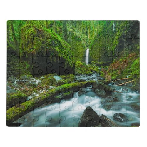 Waterfalls  Grotto Falls Oregon Jigsaw Puzzle
