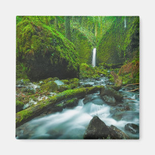 Waterfalls Grotto Falls, Oregon Magnet