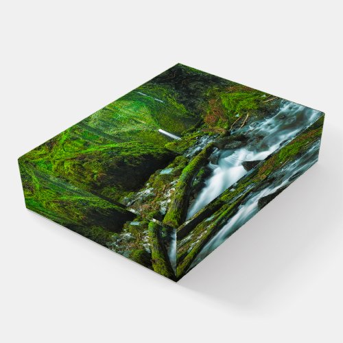 Waterfalls  Grotto Falls Oregon Paperweight