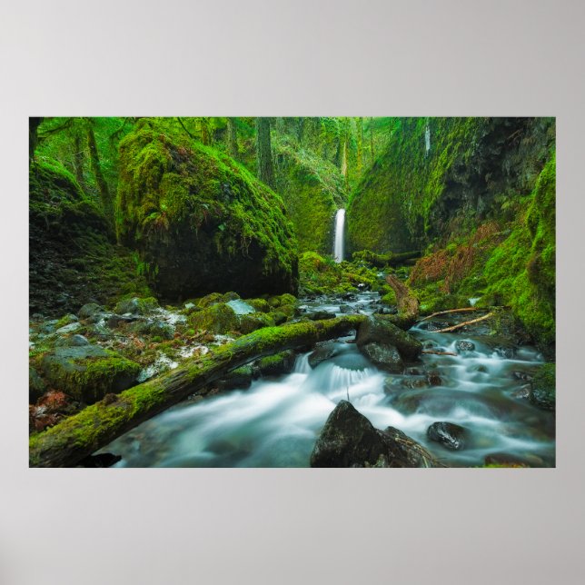 Waterfalls | Grotto Falls, Oregon Poster (Front)