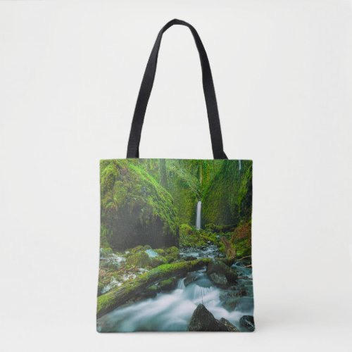 Waterfalls  Grotto Falls Oregon Tote Bag