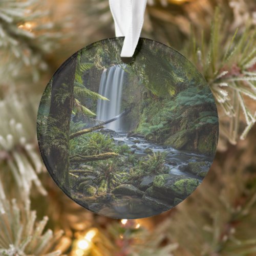 Waterfalls  Hopetoun Falls New Zealand Ornament