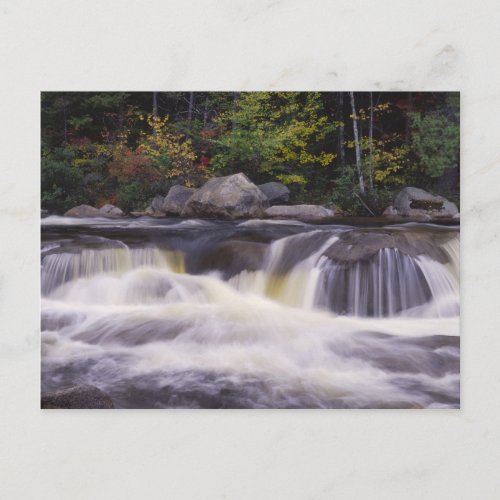 Waterfalls Kancamagus Highway White Postcard