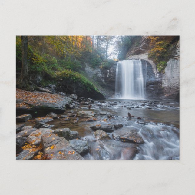 Waterfalls | Looking Glass Waterfalls Postcard (Front)