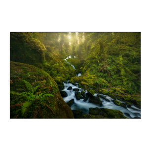 Waterfalls Olympic National Park, Washington Acrylic Print