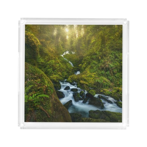 Waterfalls  Olympic National Park Washington Acrylic Tray