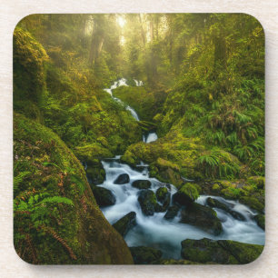 Waterfalls   Olympic National Park, Washington Beverage Coaster