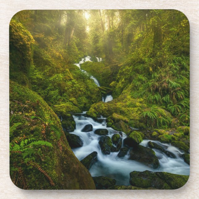 Waterfalls | Olympic National Park, Washington Beverage Coaster (Front)
