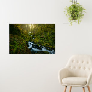 Waterfalls Olympic National Park, Washington Foam Board