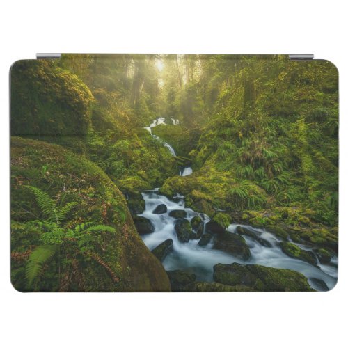 Waterfalls  Olympic National Park Washington iPad Air Cover