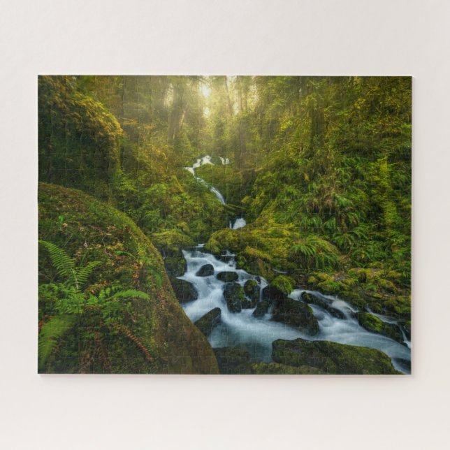 Waterfalls | Olympic National Park, Washington Jigsaw Puzzle (Horizontal)