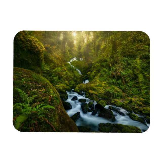 Waterfalls | Olympic National Park, Washington Magnet (Horizontal)