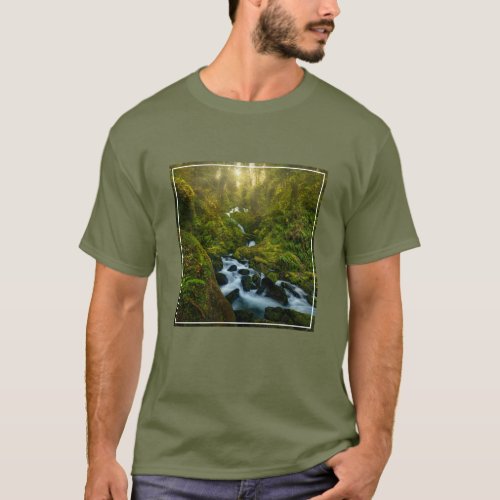 Waterfalls  Olympic National Park Washington T_Shirt
